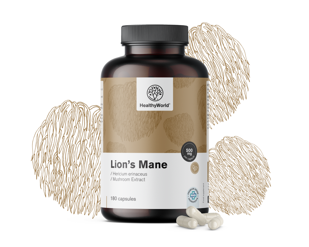 Ερίκιο (Χαίτη Λιονταριού) - μανιτάρι 