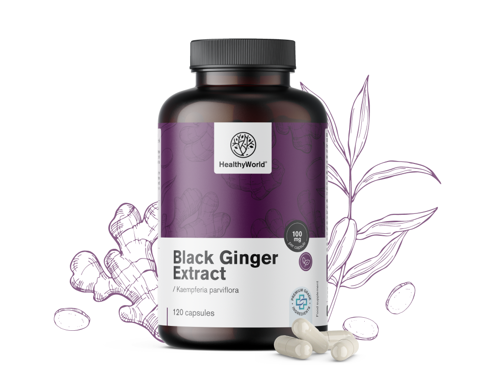 Μαύρο τζίντζερ - εκχύλισμα