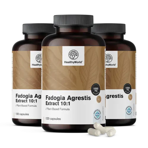 3x Fadogia Agrestis 1000 mg, συνολικά 360 κάψουλες