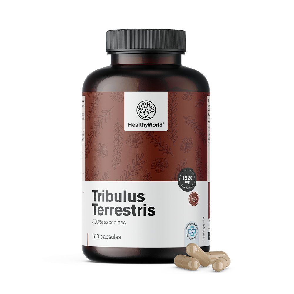 Τυπική zobačica - Tribulus 1920 mg