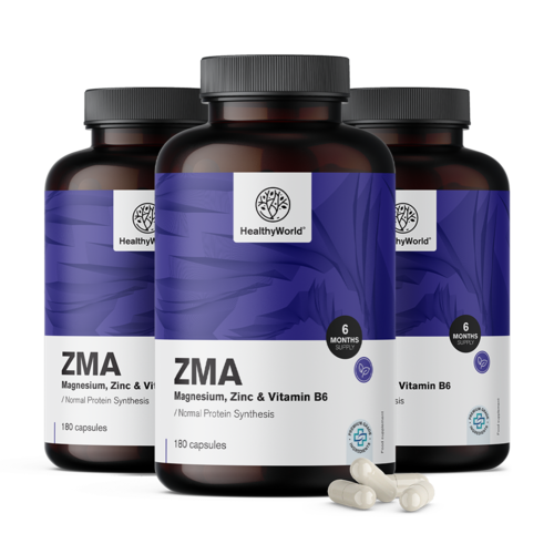 3x ZMA – μαγνήσιο, ψευδάργυρος και B6, συνολικά 540 κάψουλες