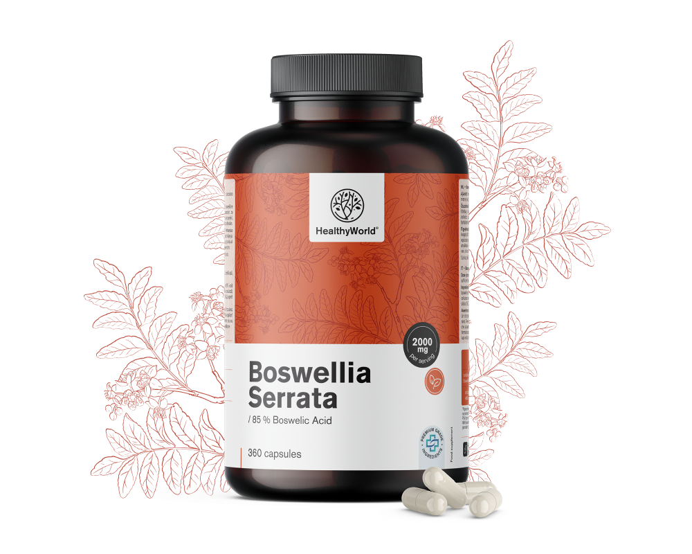 Μποσβέλια (Boswellia serrata) – 85% μποσβελικό οξύ
