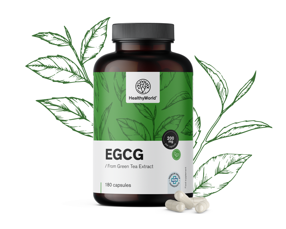 EGCG – από εκχύλισμα πράσινου τσαγιού